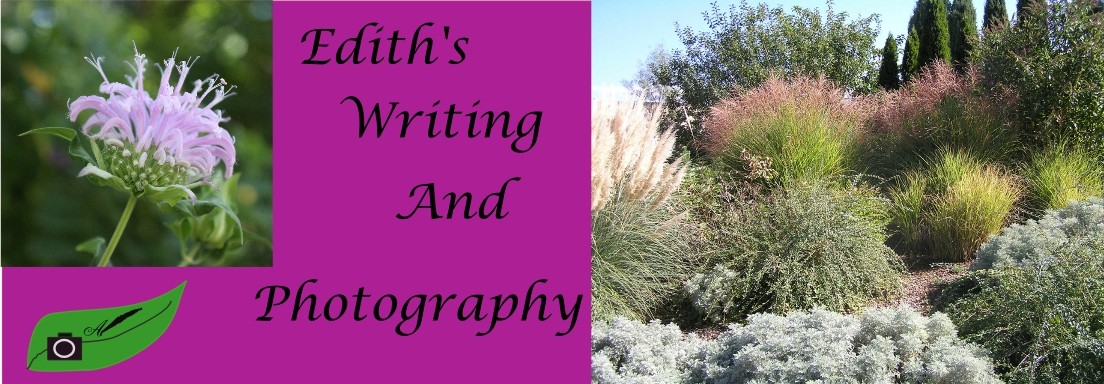 Garden Writing and Photography
